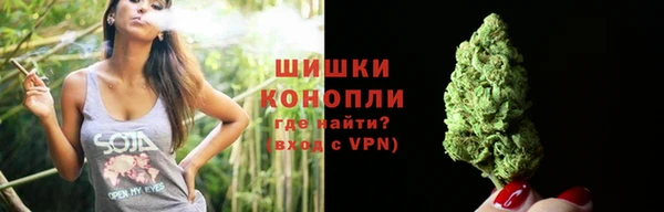 индика Корсаков
