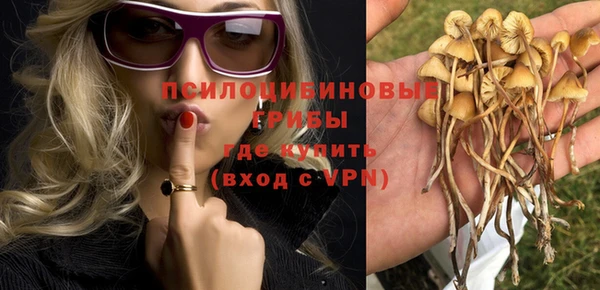 герыч Козловка