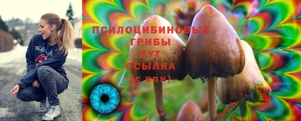 герыч Козловка