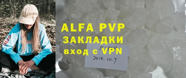 индика Корсаков